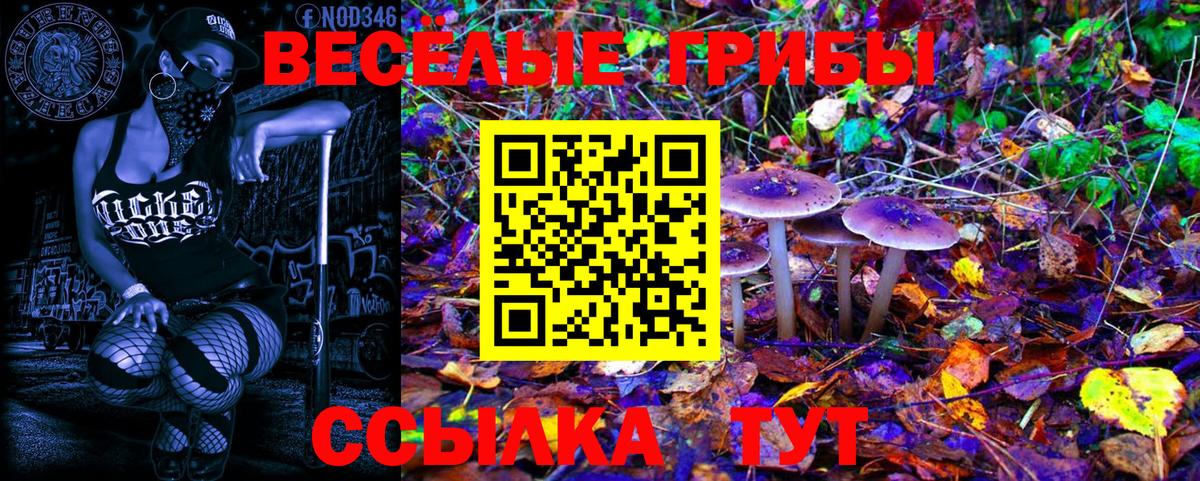 Галлюциногенные грибы ЛСД Хабаровск